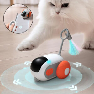 USB-oplaadbaar interactief kattenspeelgoed in auto vorm – met afstandsbediening